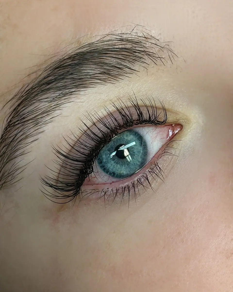 Close-up of a blue eye with long eyelashes and a well-groomed eyebrow, showcasing detailed skin texture and reflections in the eye—a perfect result from Lakeland Lash & Brow Studio.