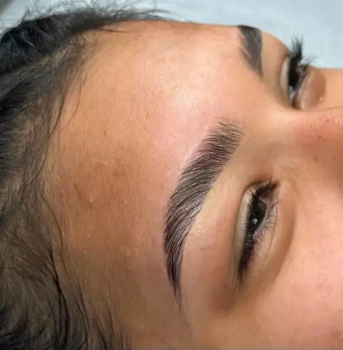 Close-up of a laminated, tinted brow with the hairs set upward